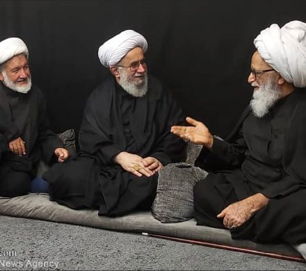 دیدار دبیرکل مجمع جهانی اهل بیت(ع) با آیت الله بشیر نجفی + عکس